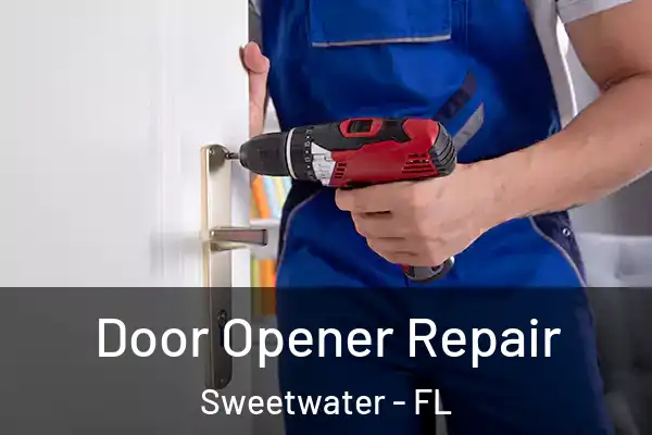 Door Opener Repair Sweetwater - FL