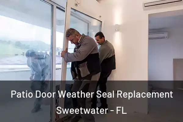 Patio Door Weather Seal Replacement Sweetwater - FL