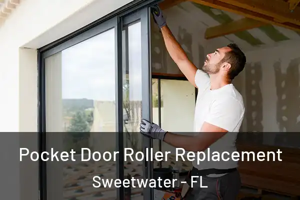 Pocket Door Roller Replacement Sweetwater - FL